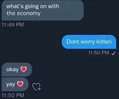 Don't Worry Kitten About Economy