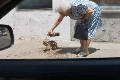 Grandma Pours Coke On Dog