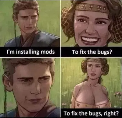 Installing Mods To Fix Bugs