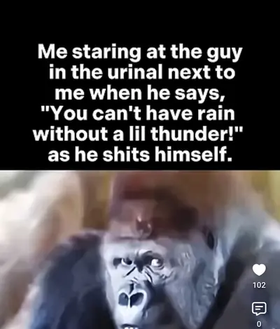 Gorilla Stare Urinal Thunder Joke