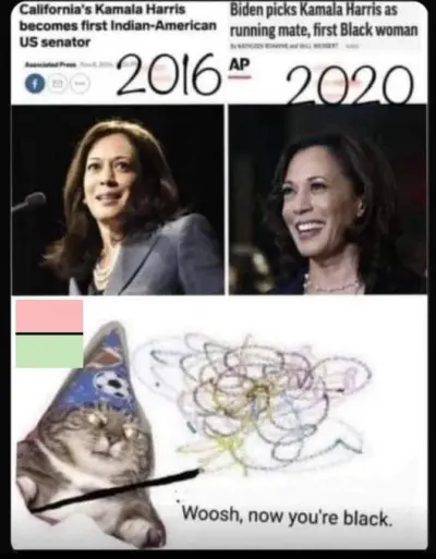Kamala Harris Race Identity Wizard Cat