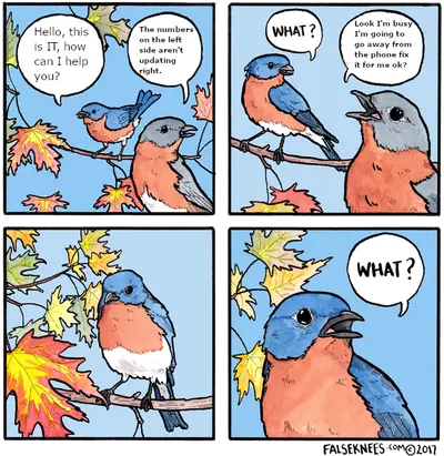 IT Support Bird Refuses Help